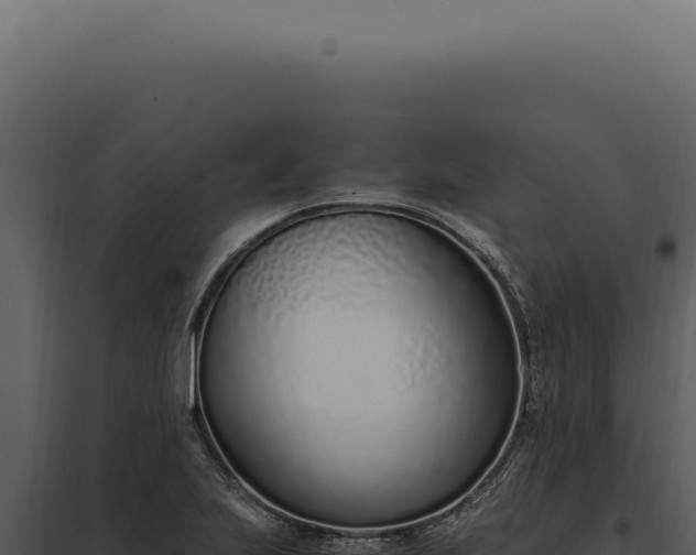 X0000097981223200804011737