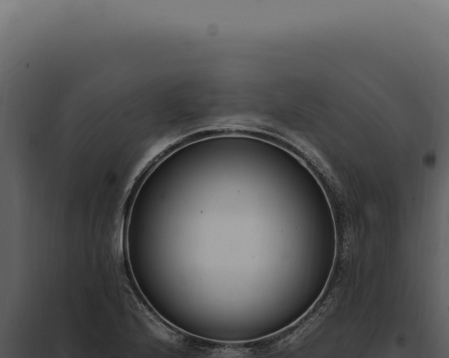 X0000097981224200804011737