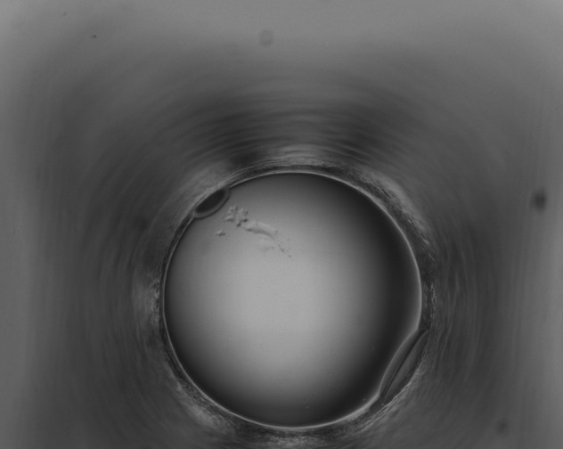 X0000097981225200804011737