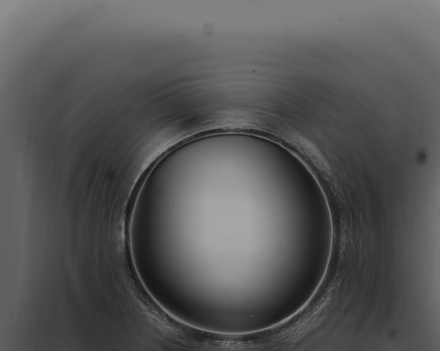 X0000097981226200804011737