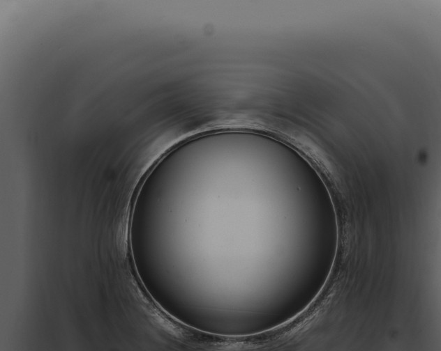 X0000097981228200804011737