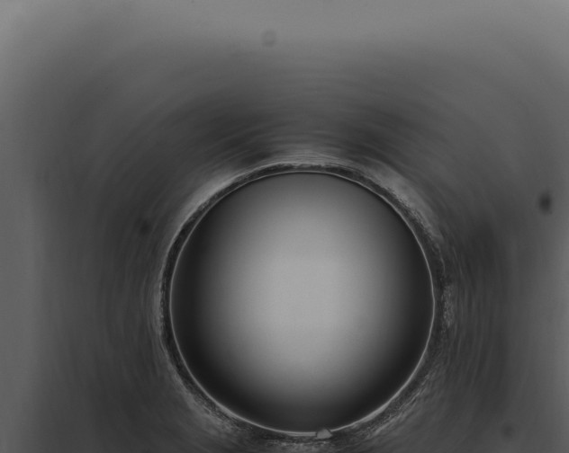 X0000097981229200804011737