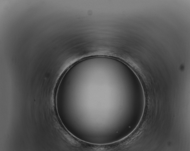 X0000097981230200804011737