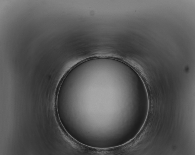 X0000097981231200804011737