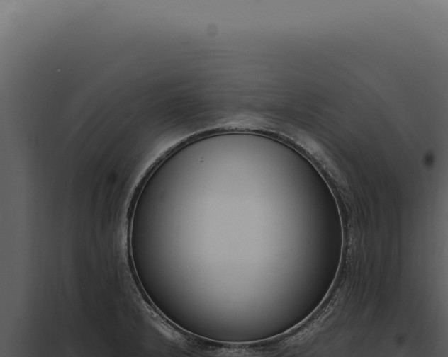 X0000097981232200804011737