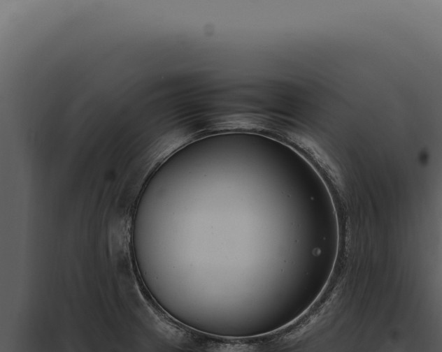 X0000097981233200804011737