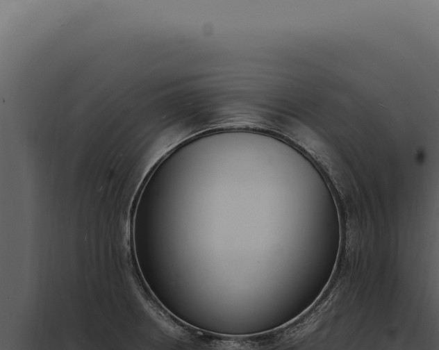 X0000097981234200804011737