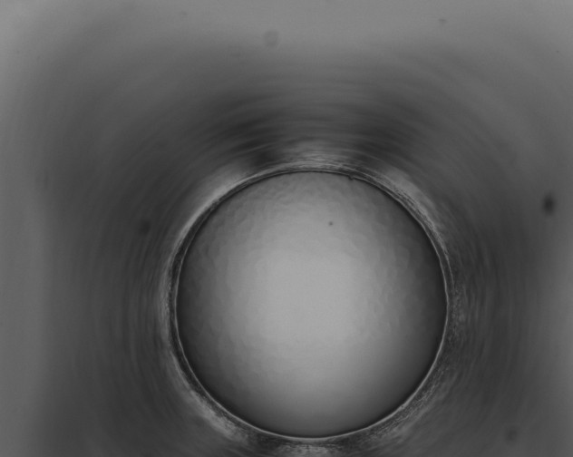 X0000097981235200804011737