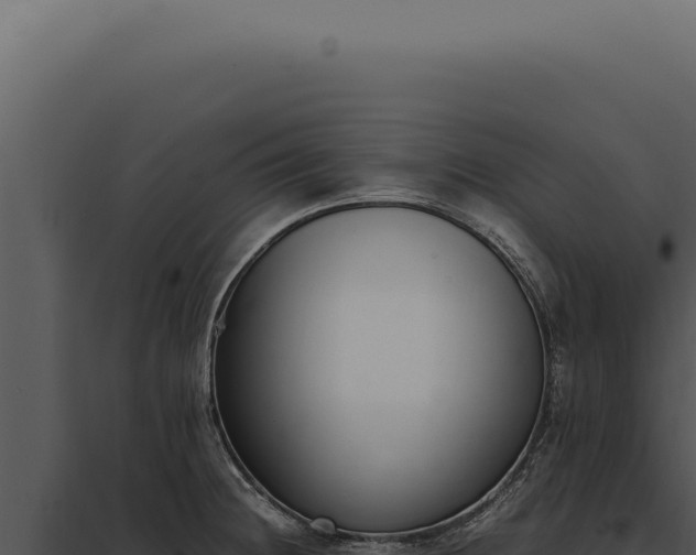 X0000097981236200804011737