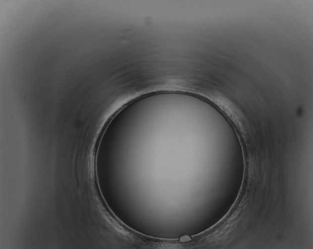 X0000097981238200804011737