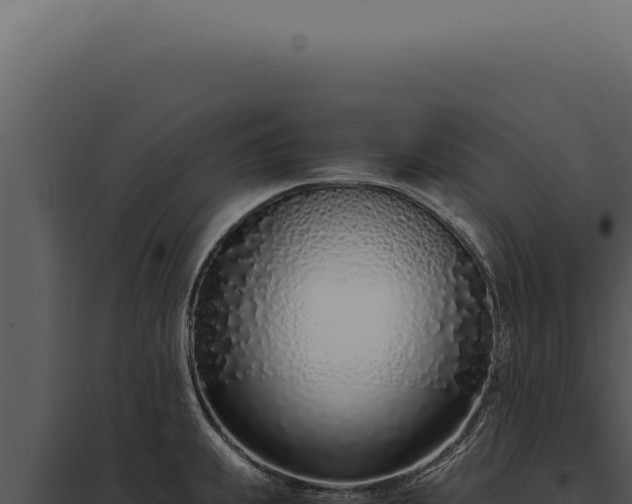 X0000097981239200804011737