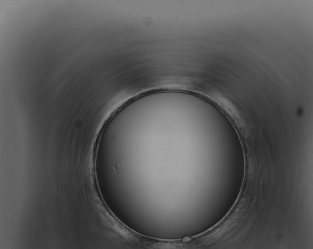 X0000097981240200804011737