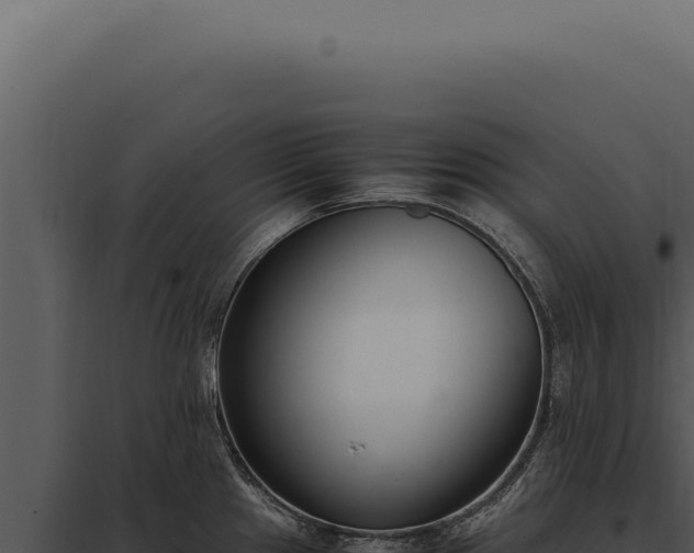 X0000097981241200804011737