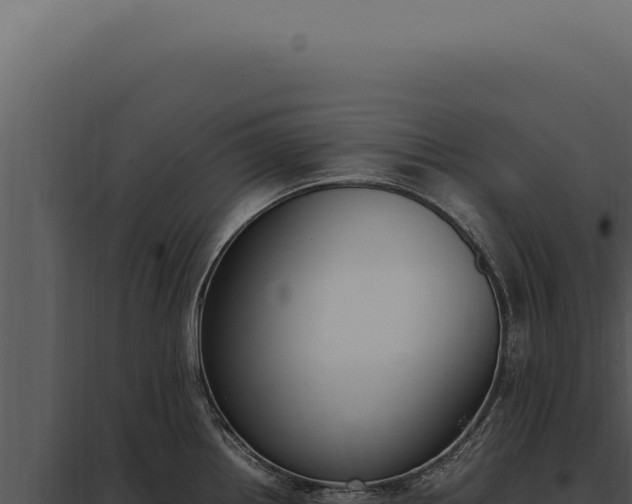 X0000097981242200804011737