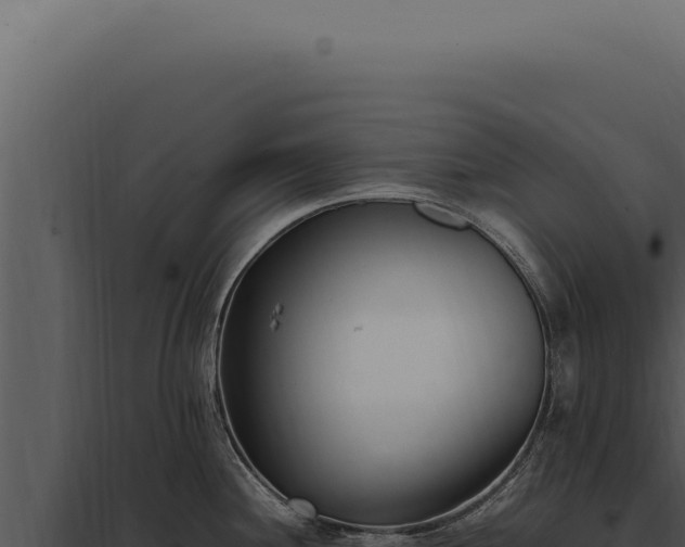 X0000097981244200804011737