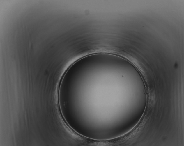 X0000097981246200804011737