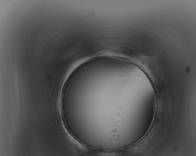 X0000097981247200804011737