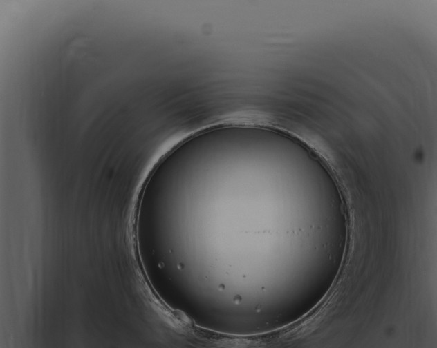 X0000097981248200804011737