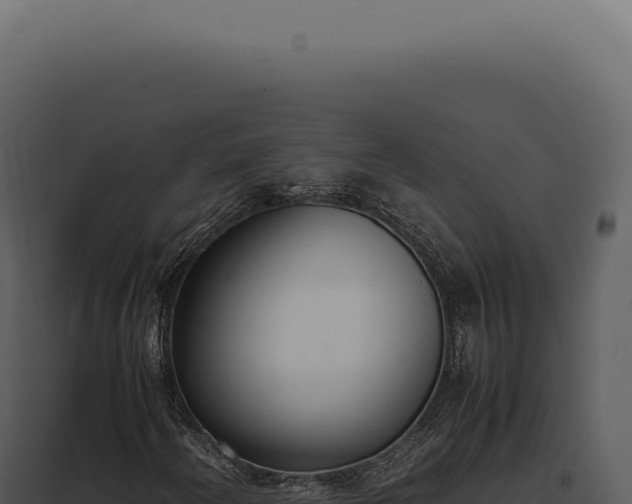 X0000097981250200804011736