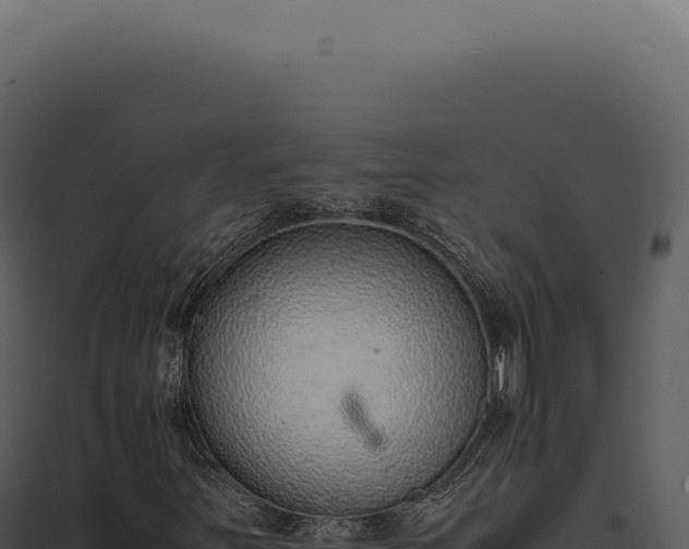 X0000097981251200804011736
