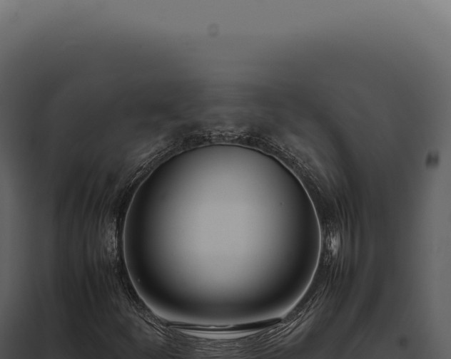 X0000097981252200804011736