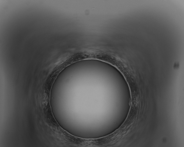 X0000097981253200804011736