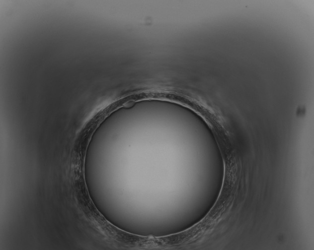 X0000097981255200804011736