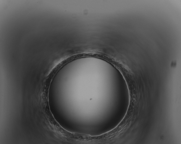 X0000097981256200804011736