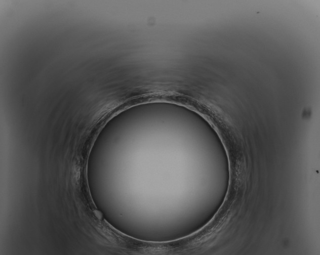 X0000097981257200804011736