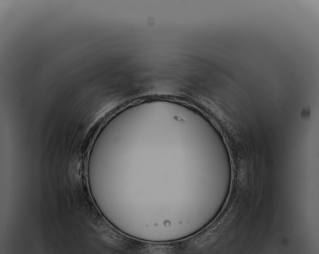 X0000097981258200804011736