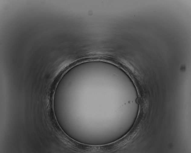 X0000097981259200804011736