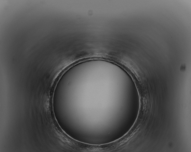 X0000097981260200804011736