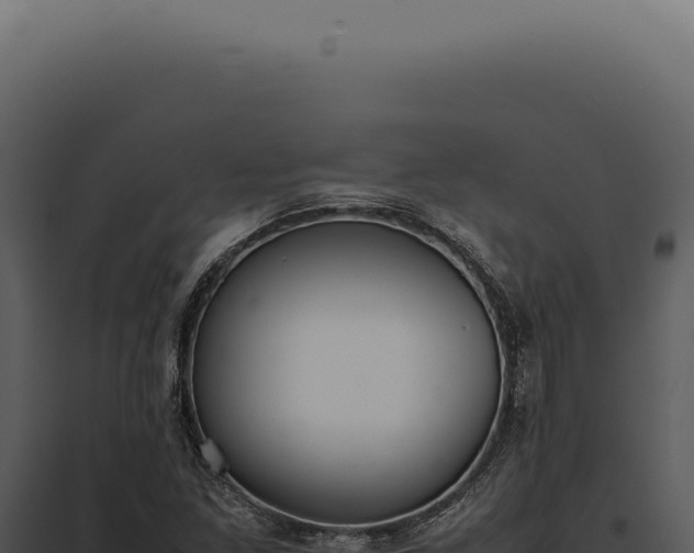 X0000097981261200804011736