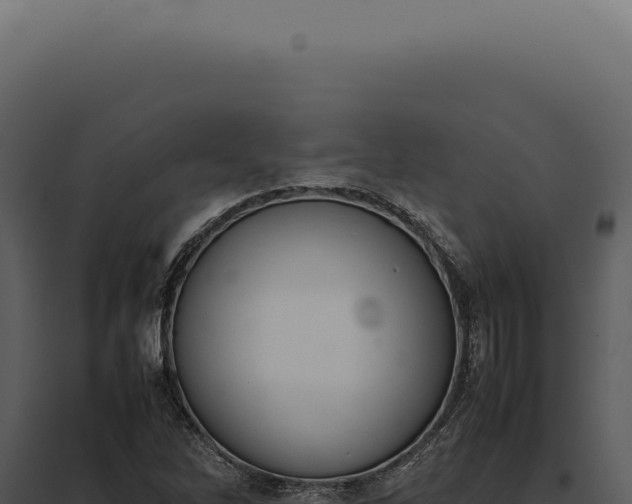 X0000097981262200804011736