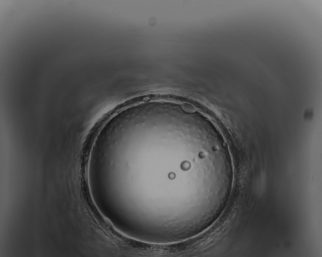 X0000097981263200804011736