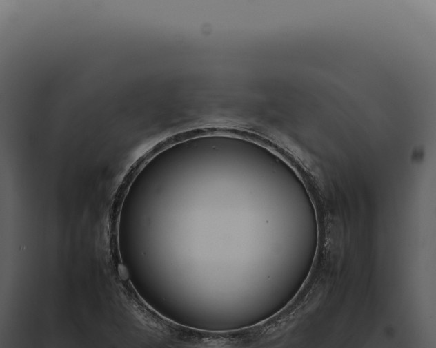 X0000097981264200804011736