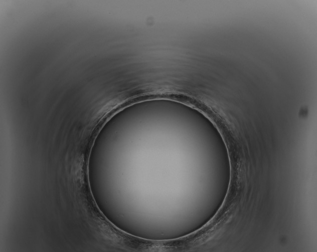 X0000097981265200804011736