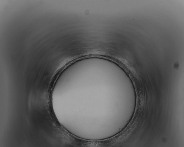X0000097981266200804011736