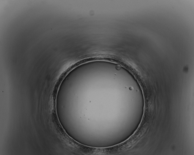 X0000097981267200804011736