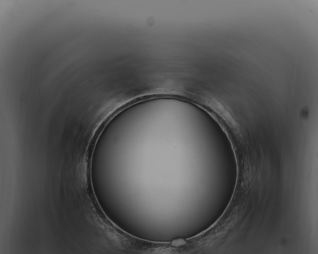 X0000097981268200804011736