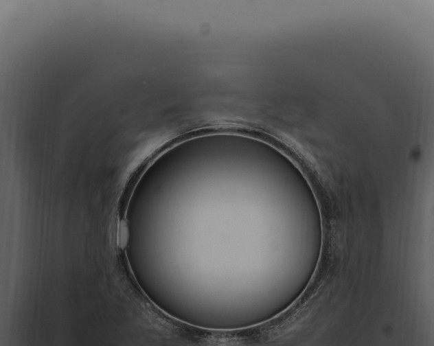 X0000097981269200804011736