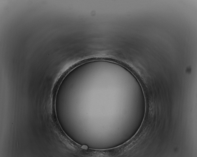 X0000097981270200804011736