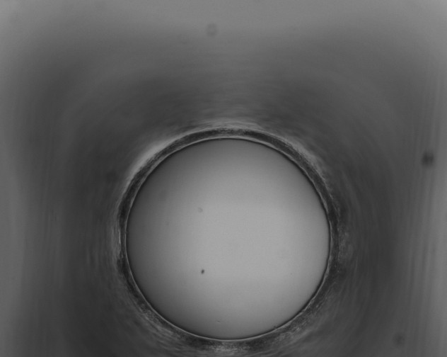 X0000097981271200804011736