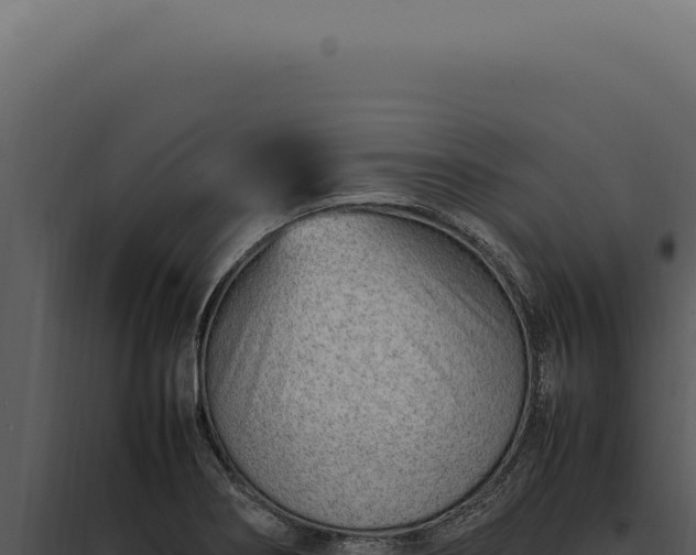X0000097981274200804011736