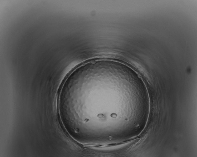 X0000097981275200804011736