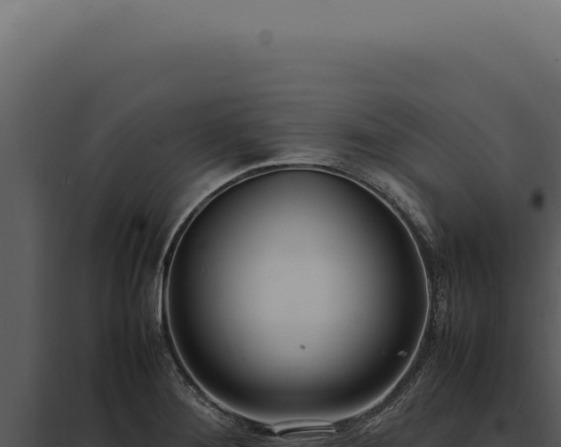 X0000097981276200804011736