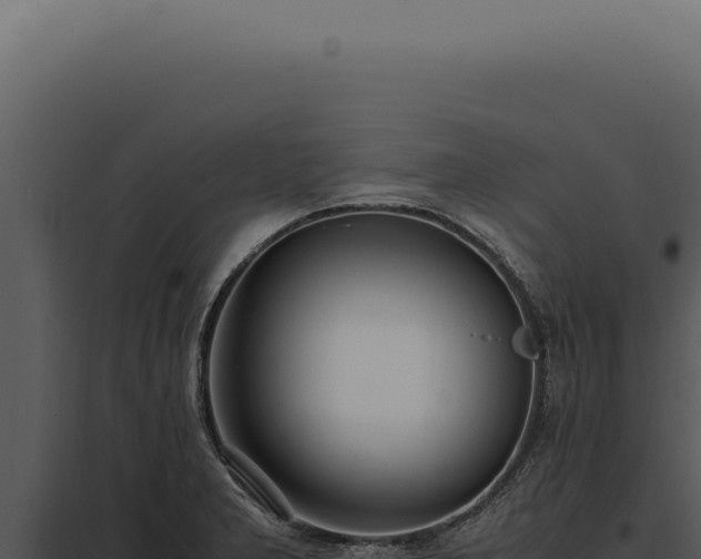 X0000097981277200804011736