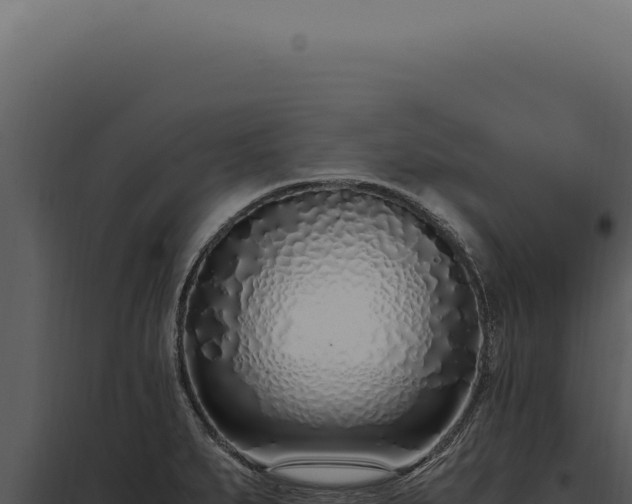 X0000097981279200804011736