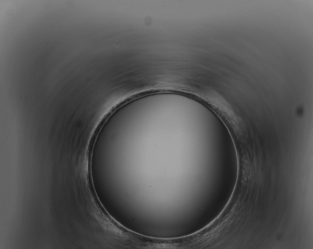 X0000097981280200804011736