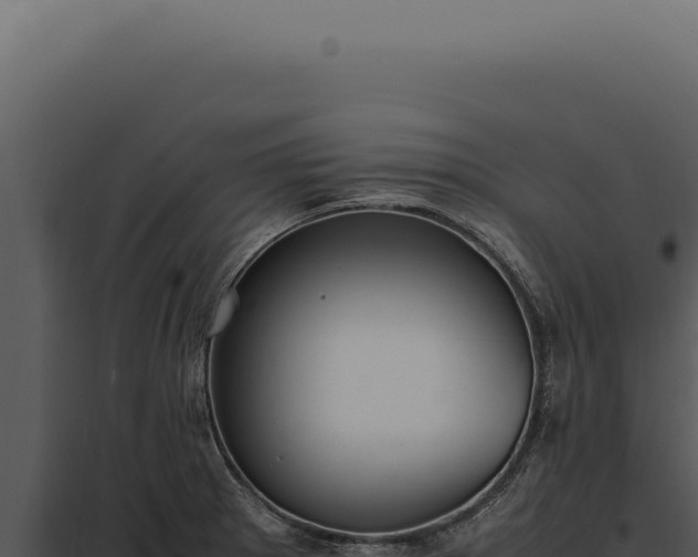X0000097981281200804011736